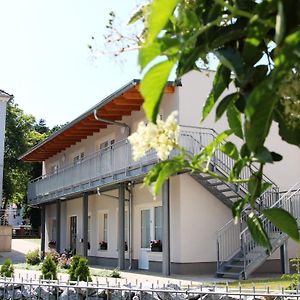 Pension Am Ziegelwall Hotel Бауцен Exterior photo