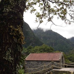 Nature Inn Madeira - Glamping Порто Мониз Exterior photo