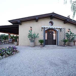 Casa Degli Ulivi Bed & Breakfast Черветери Exterior photo