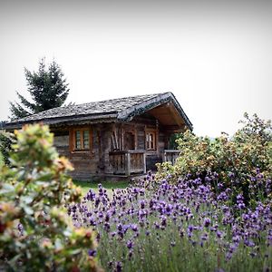 Hotel Le Manoir Des Montagnes Ле Рус Exterior photo