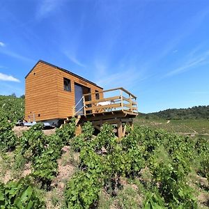 Tiny House Au Coeur Du Vignoble Beaujolais Hotel Фльори Exterior photo