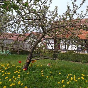 Pension Toepferhof Hotel Бад Берка Exterior photo