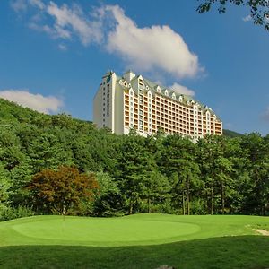 Yangji Pine Resort Йонгин Exterior photo