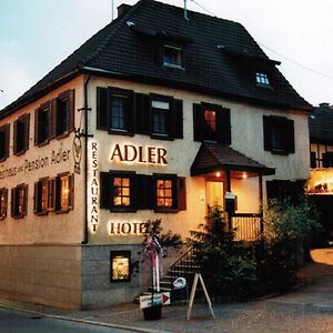 Adler Gaststube Hotel Biergarten Бад Рапенау Exterior photo